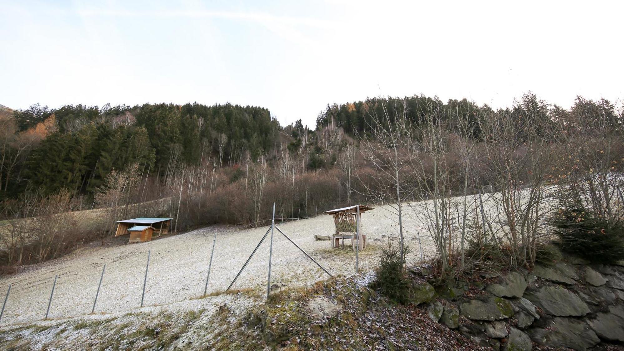 Hochfeldhof Apartment Zell am Ziller Room photo